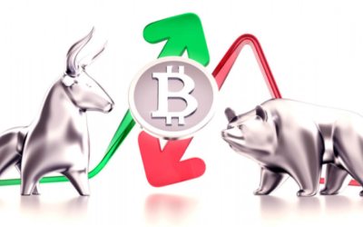 Comprendre la tendance et la stratégie des baleines sur le marché crypto monnaie en 2019 !