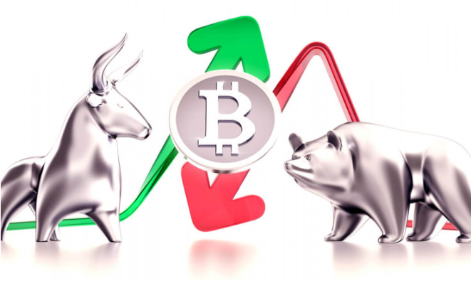 Comprendre la tendance et la stratégie des baleines sur le marché crypto monnaie en 2019 !